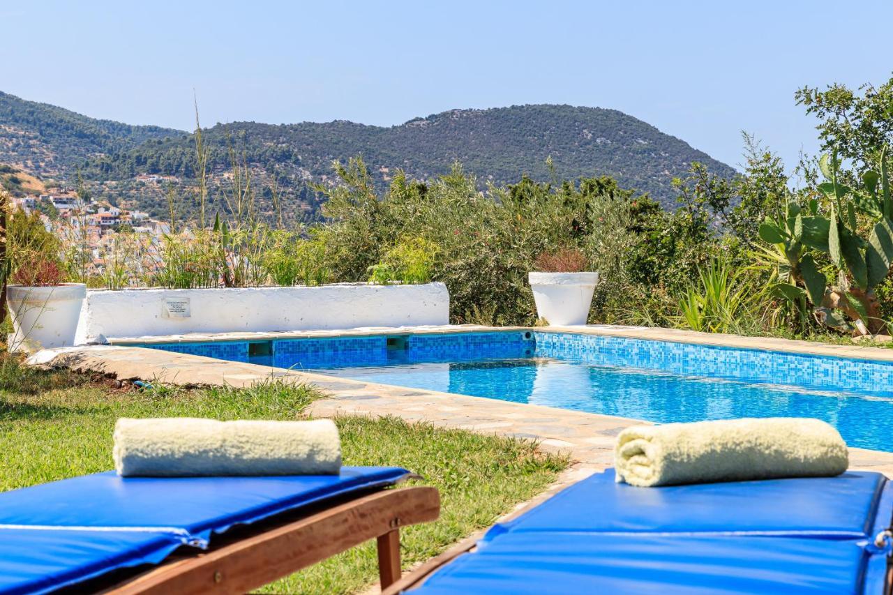 Villa Rodia With Swimming Pool On Skopelos Island Экстерьер фото